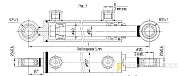 Гидроцилиндр МС40/25х70-3(4).11(260)