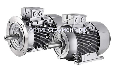 4043311004 Электродвигатель 1LG4310-2AB66-Z фланец