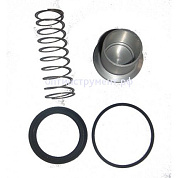 2200350 Ремкомплект клапана минимального давления G40F 1-1/2