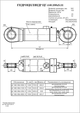 Гидроцилиндр ЦГ-160.100х1250.11