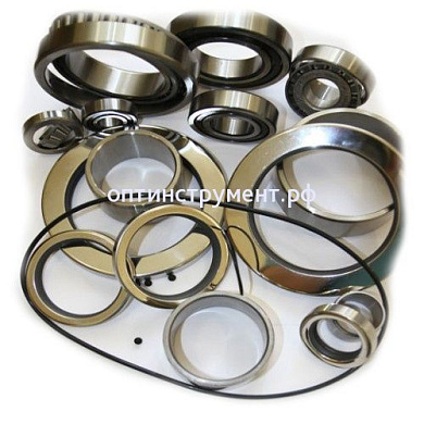 129826 Ремкомплект подшипников и уплотнений EVO2